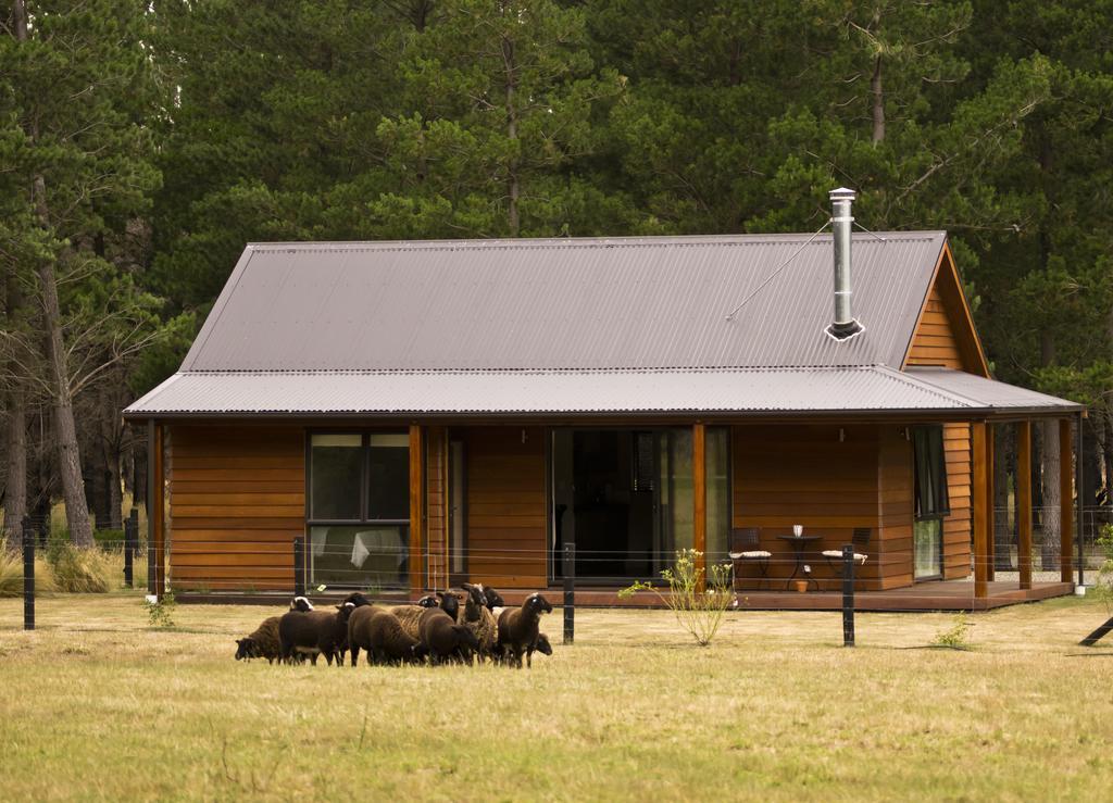 Woodbank Park Cottages هانمر سبرينغز الغرفة الصورة